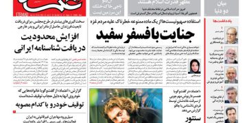 گفت و گو با وحیده محمدی‌فر در روزنامه اعتماد